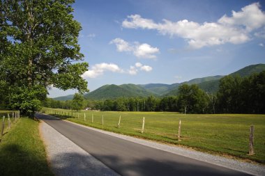 Cades Cove manzara sürücü