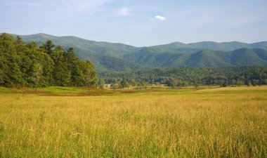 Doğal Cades Cove