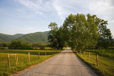 Cades Cove manzara sürücü