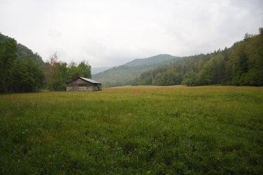 Tarihi Cataloochee Vadisi