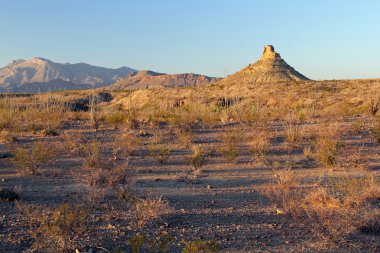 Big bend Milli Parkı