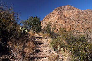 Big bend Milli Parkı