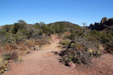 Big bend Milli Parkı