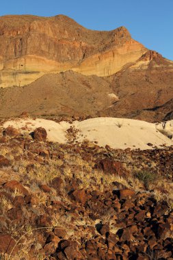 Big bend Milli Parkı