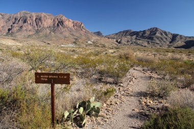 Ward bahar iz işareti