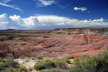 Doğal boyalı çöl