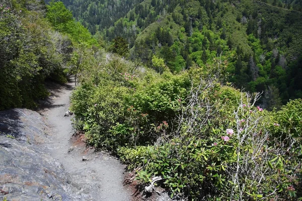 Aluminiumhöhle Bluffs Trail — Stockfoto