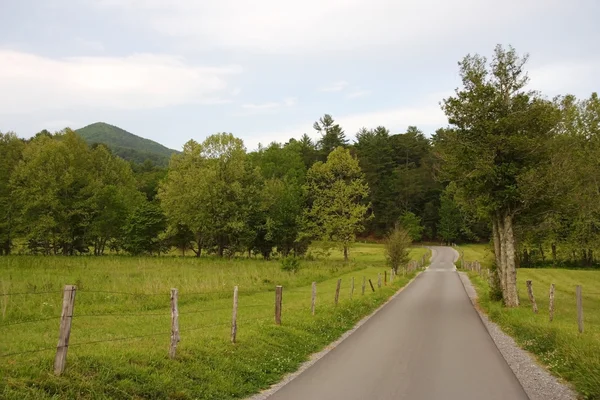 Scenic Drive through aantalterbeurzeingekochte Cove — Stockfoto