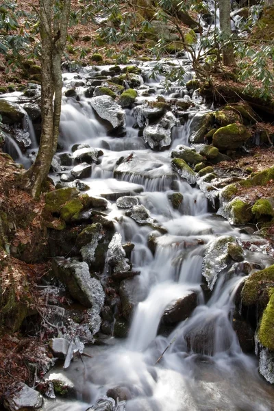 Waterfalls in the Smokies — Stock Photo, Image