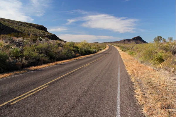 Big bend Nationaalpark — Stockfoto