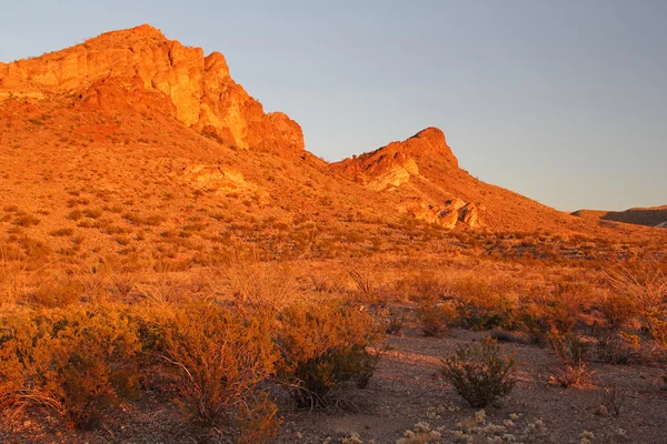 Parco nazionale di Big bend — Foto Stock