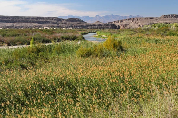 Paisaje del Río Grande — Foto de Stock