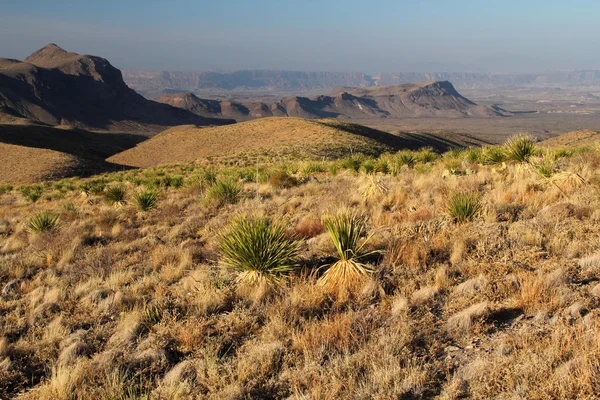 Big Bend Національний парк — стокове фото