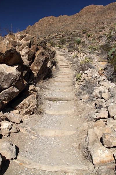 Big bend nationalpark — Stockfoto