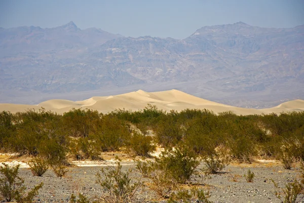 Death valley písečné duny — Stock fotografie