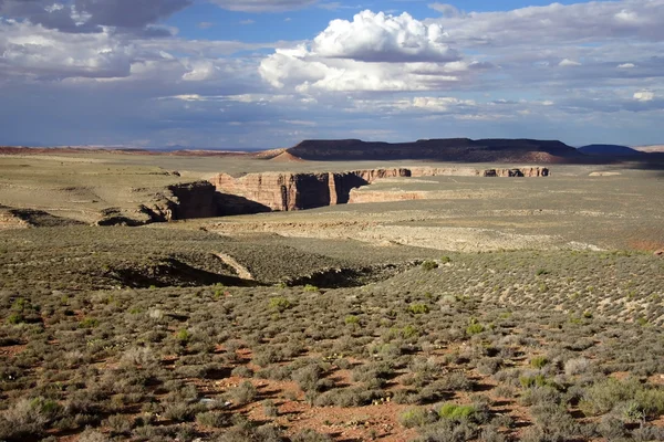 Nationaal park Grand Canyon — Stockfoto