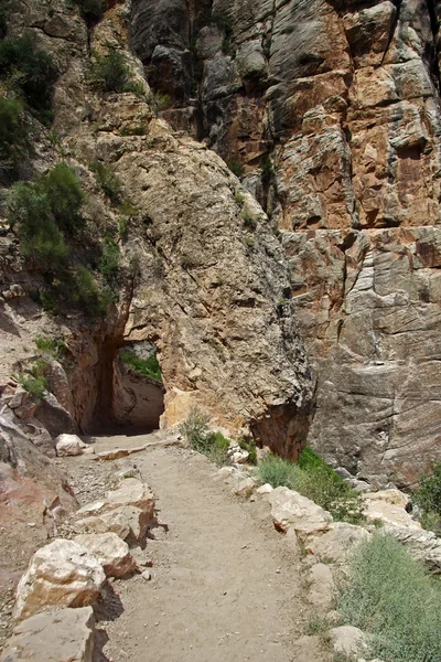 Bright Angel Trail — Stockfoto