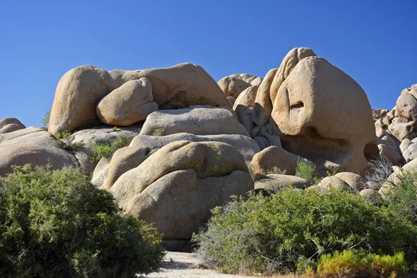 Národní park Joshua tree — Stock fotografie