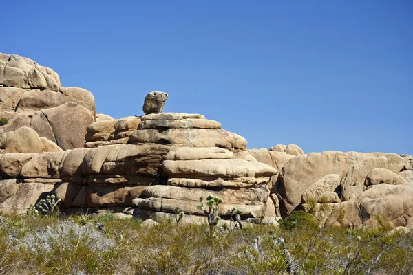 Národní park Joshua tree — Stock fotografie