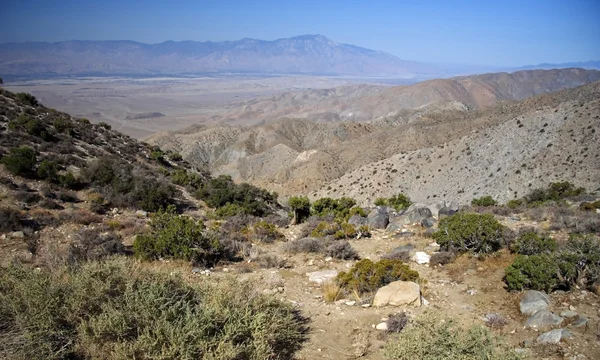 Národní park Joshua tree — Stock fotografie