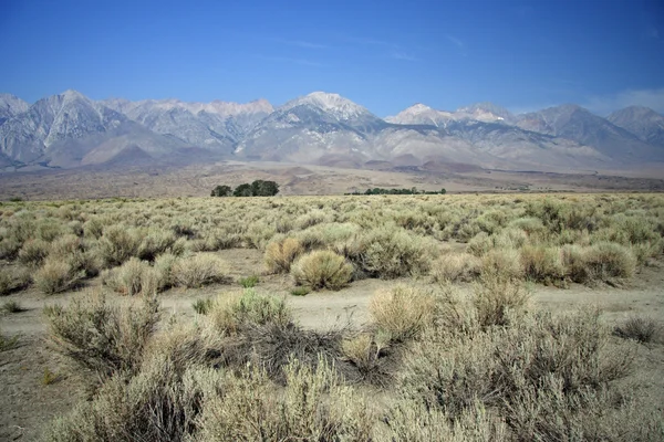 Landschaft der Sierra Nevada — Stockfoto