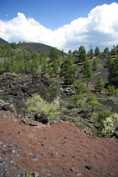 Sunset crater nationalmonument — Stockfoto