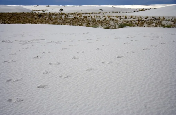 Nationaal monument White Sands — Stockfoto