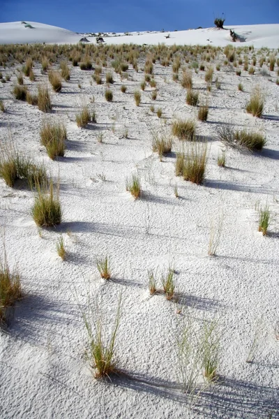 Національний пам'ятник білим піскам — стокове фото