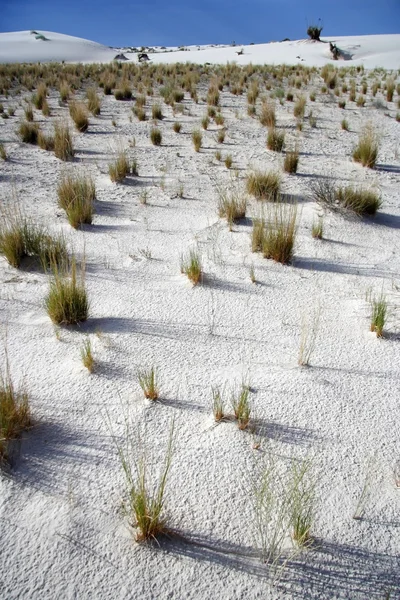 Λευκό Sands Εθνικό Μνημείο — Φωτογραφία Αρχείου