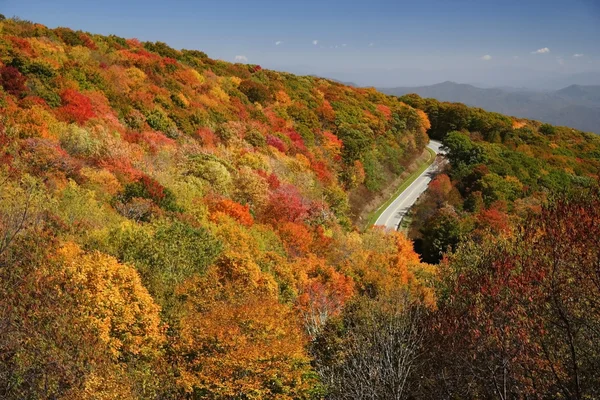 Cherohala 스카이 — 스톡 사진