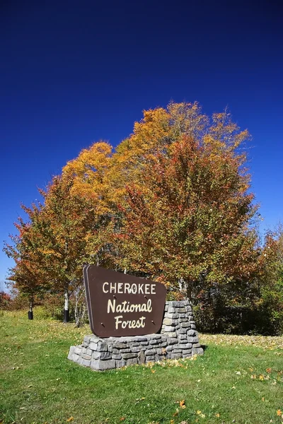 Floresta Nacional de Cherokee — Fotografia de Stock