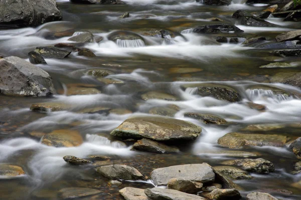 Smokey Mountains Creek Stock Image