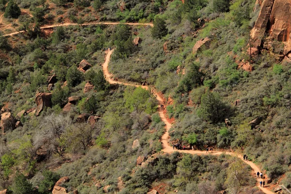 West Rim Trail — Stock Photo, Image