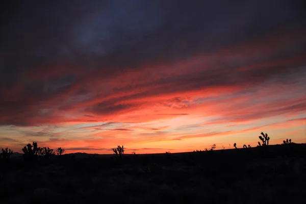 Mojave National Preserve — Stock Photo, Image