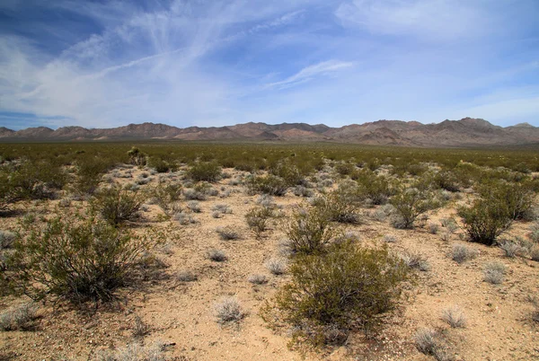 Mojave-Nationalpark — Stockfoto