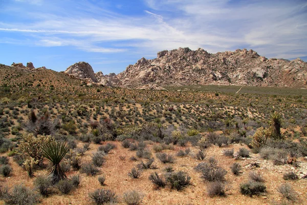 Conservazione nazionale del Mojave — Foto Stock