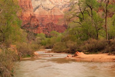 Majestic Zion Canyon