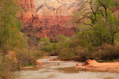 Majestic Zion Canyon