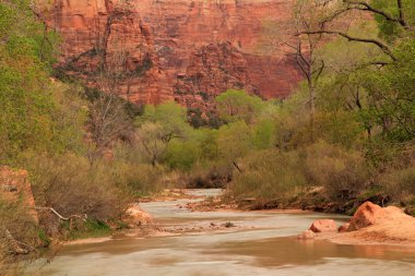 Majestic Zion Canyon