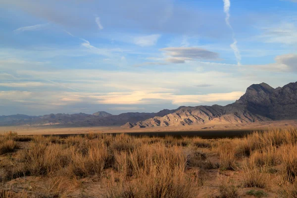 Desierto de Mojave en California — Foto de Stock