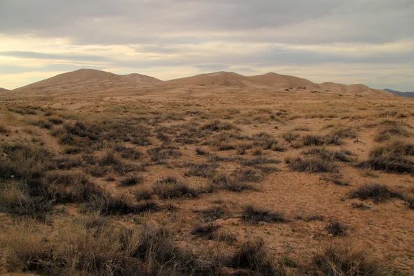 Kelso Dunes Paesaggio — Foto Stock