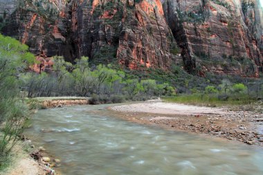 Zion national park