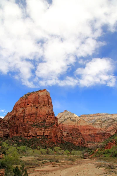 Angels Landing landschap — Stockfoto