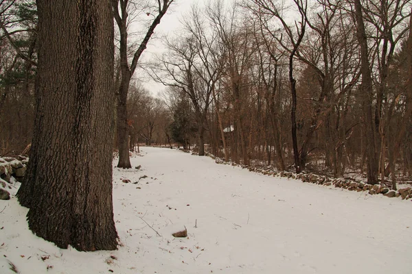 Battle Road Trail runs through Minuteman National Historical Park and connects several important historic sites associated with the start of the American Revolution