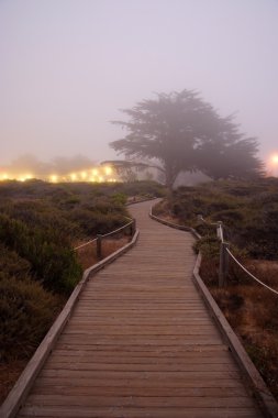 Big Sur sisli akşam