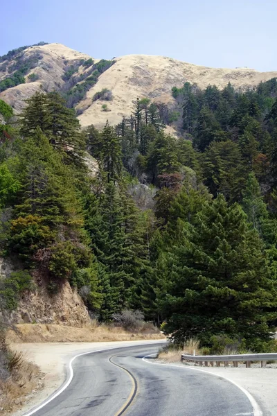 Paysage montagneux de la côte du Pacifique — Photo