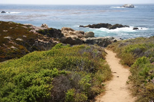 Beach Hiking Trail