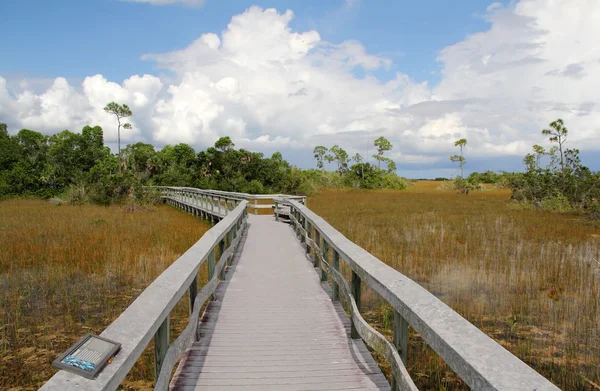 Everglades National Park — Stock Photo, Image