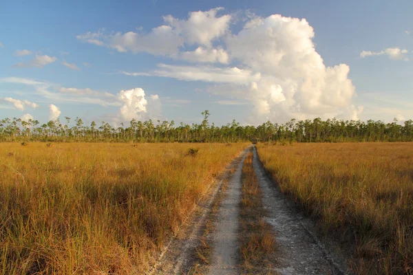 Long Pine Key Trail — Photo