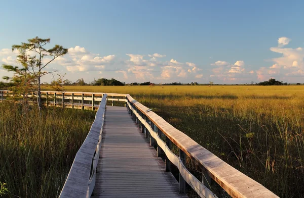 The Pahayokee Boardwalk — Stock Photo, Image